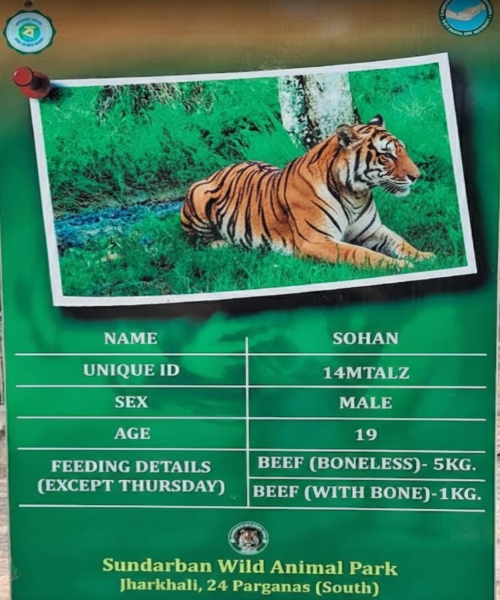 jharkhali tiger rescue centre