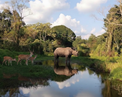 রাজা ভাত খাওয়া