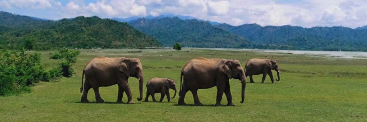 আলিপুরদুয়ার পর্যটন কেন্দ্র