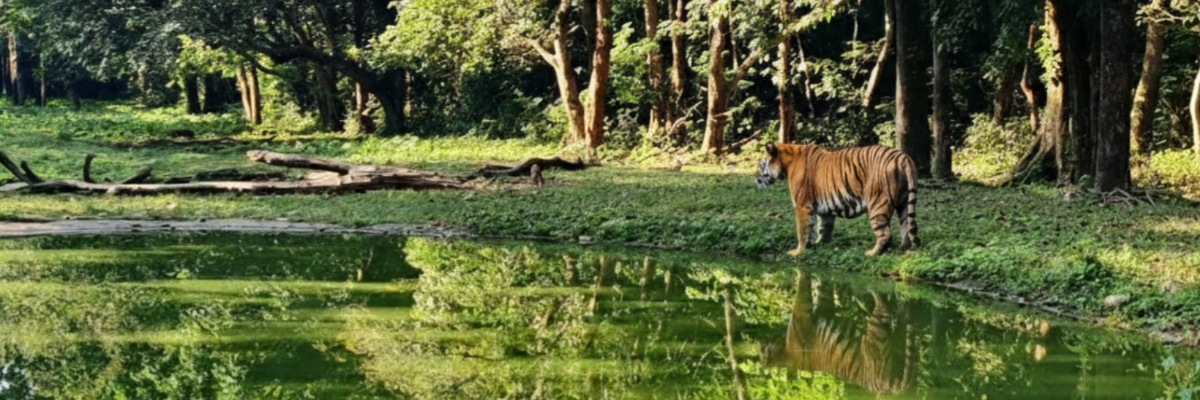 আলিপুরদুয়ার পর্যটন কেন্দ্র
