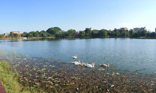 সাগর দিঘী কোচবিহার