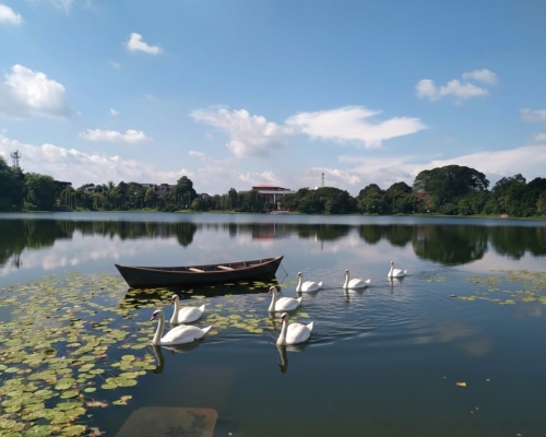 সাগরদিঘী কোচবিহার