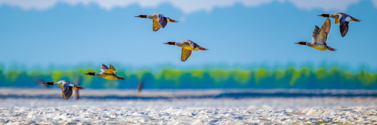 জলপাইগুড়ি জেলার পর্যটন কেন্দ্র