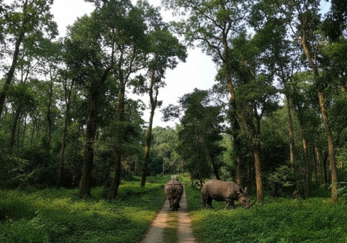 গরু মারা জাতীয় উদ্যান