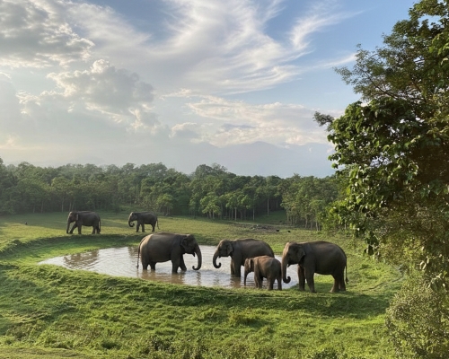 গরু মারা জাতীয় উদ্যান