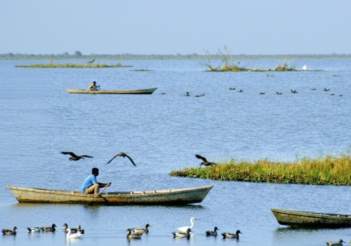 Gajol doba bird watchers গজলডোবা পাখিরালয়