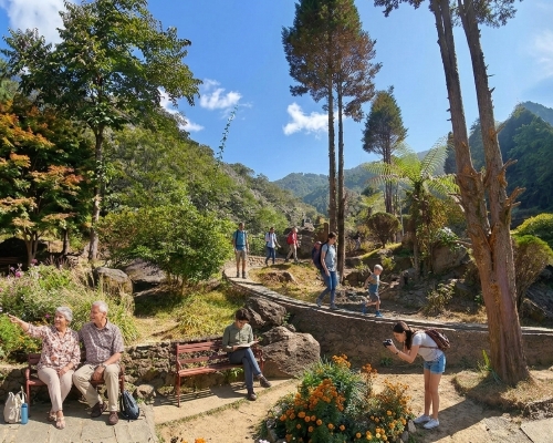 রক গার্ডেন ও গঙ্গামায়া পার্ক rock garden darjeeling