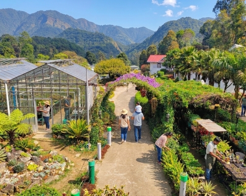 পাইন ভিউ নার্সারি pine view nursery