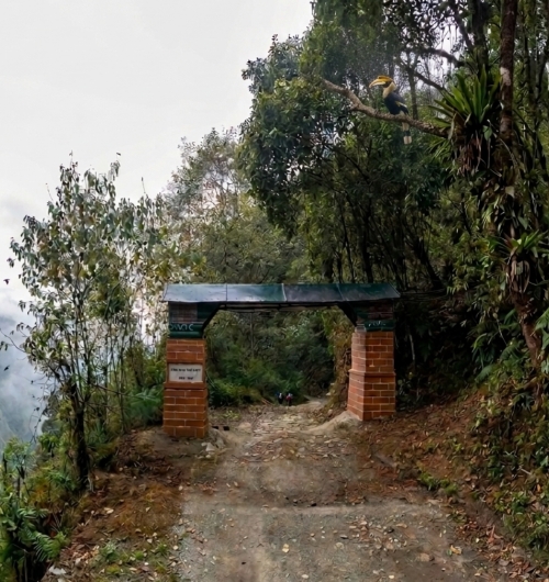 নেওড়া ভ্যালি ন্যাশনাল পার্ক neora valley National park