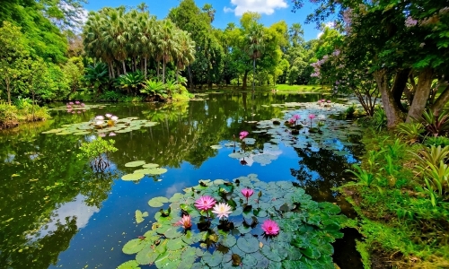 শিবপুর বোটানিক্যাল গার্ডেন (Acharya Jagadish Chandra Bose Indian Botanic Garden)