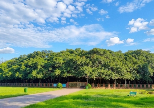 শিবপুর বোটানিক্যাল গার্ডেন (Acharya Jagadish Chandra Bose Indian Botanic Garden)
