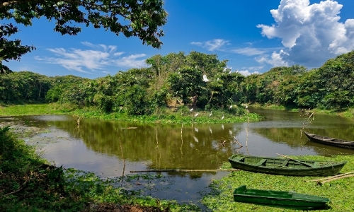 কুলিক পক্ষীনিবাস (Raiganj Wildlife Sanctuary)