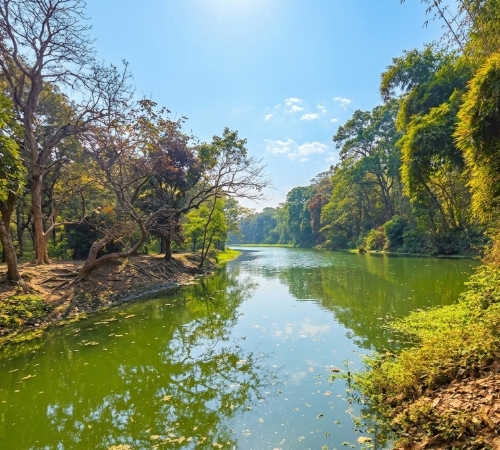 কুলিক পক্ষীনিবাস (Raiganj Wildlife Sanctuary) kulik