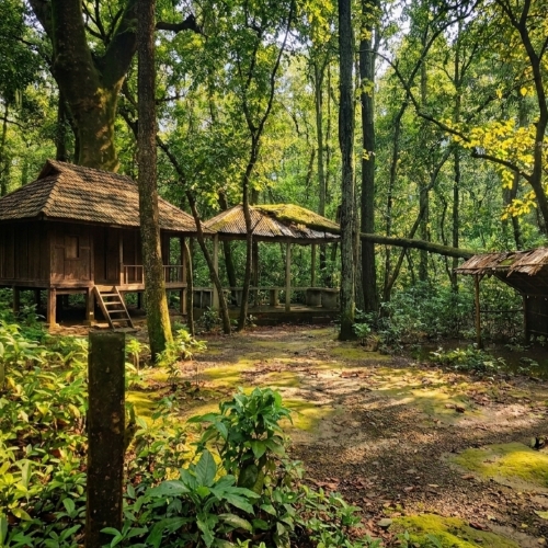 সাঁপনিখলা বন (Sap Nikla Forest) north dinajpur