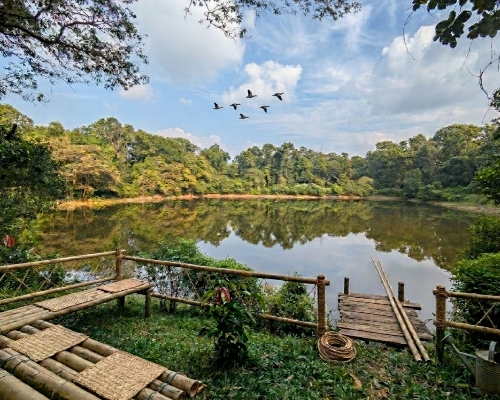 সাঁপনিখলা বন (Sap Nikla Forest) north dinajpur