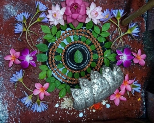হাটনগর শিব মন্দির hatnagar shiv mandir egra