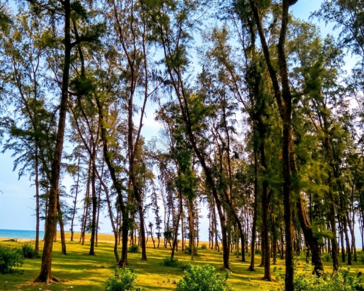 জুনপুট সমুদ্র সৈকত junput sea beach