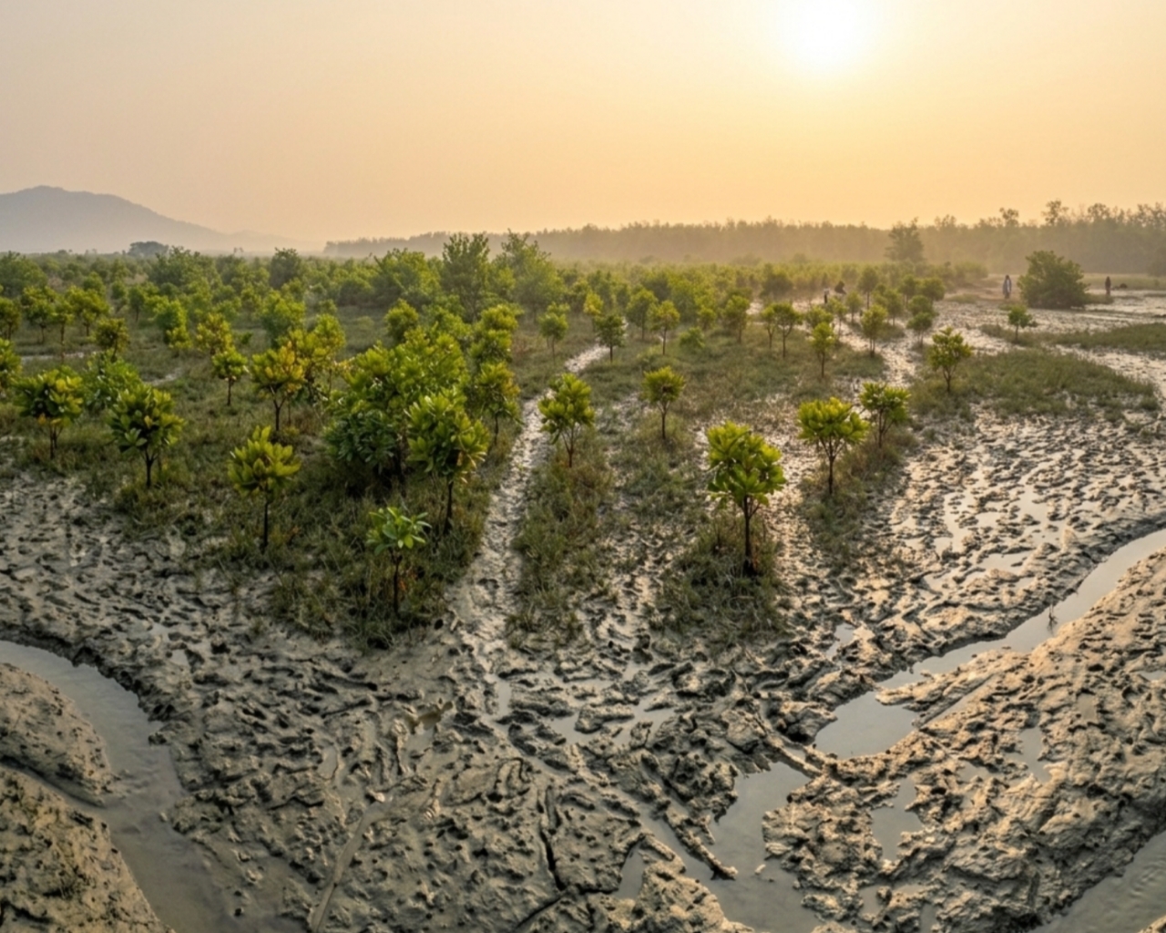জুনপুট সমুদ্র সৈকত junput sea beach
