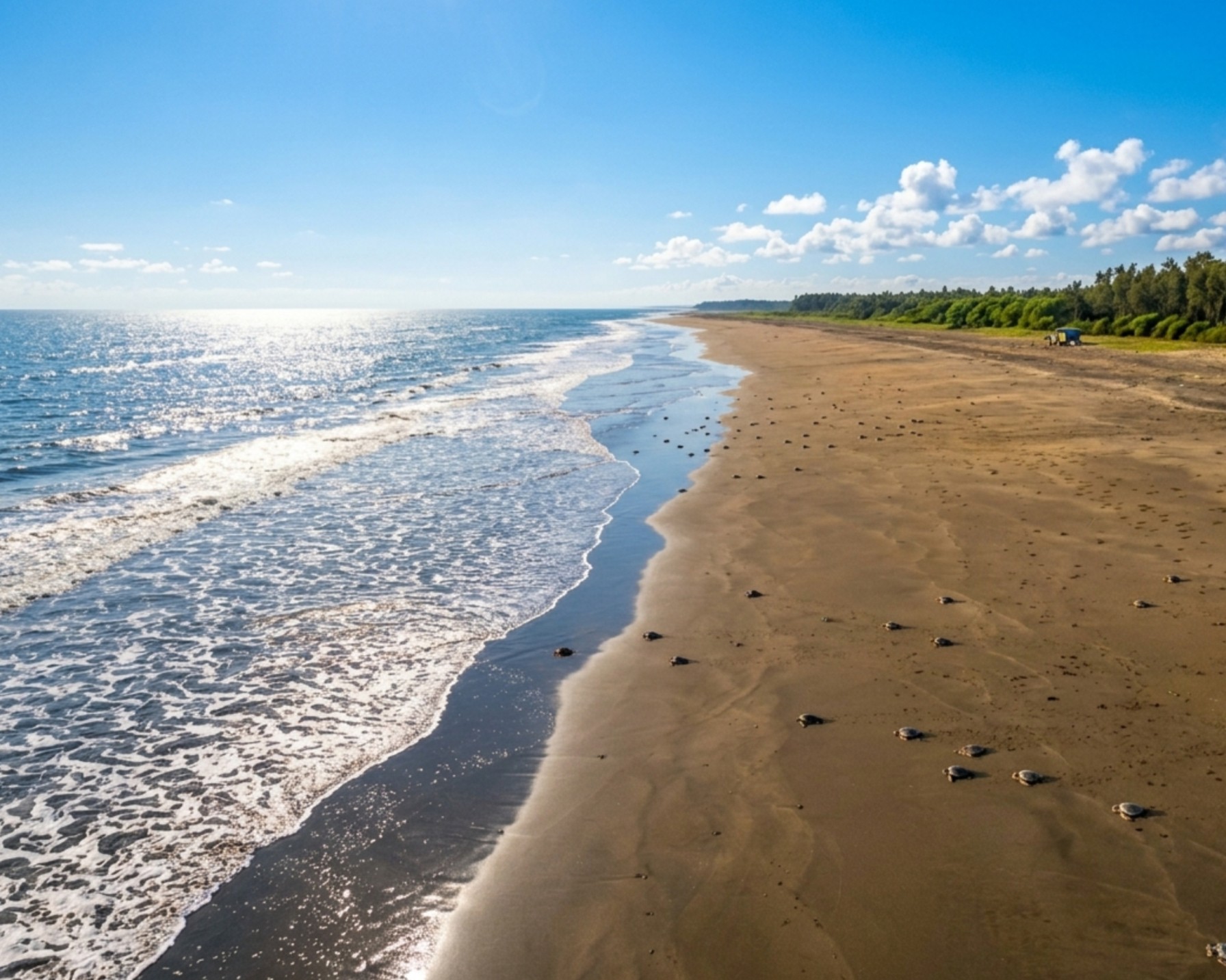 গহিরমাথা সমুদ্র সৈকত Gahirmatha Beach offbeat Destinations tour plan